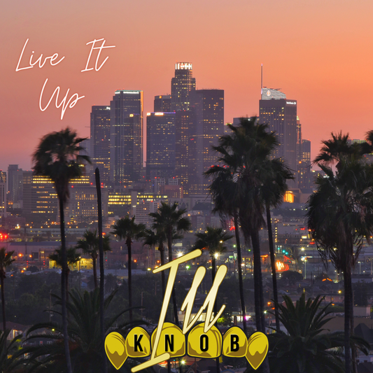 Live It Up